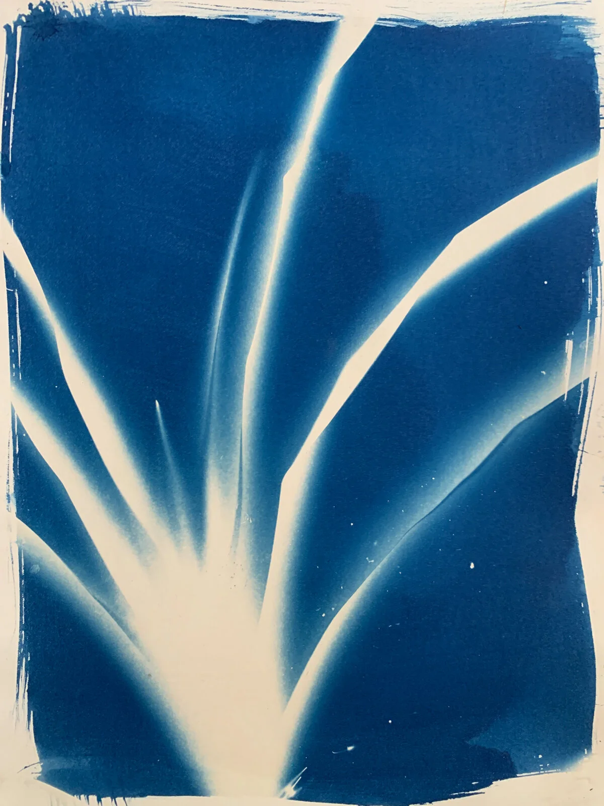 iris_cyan_10x14-1294.jpg