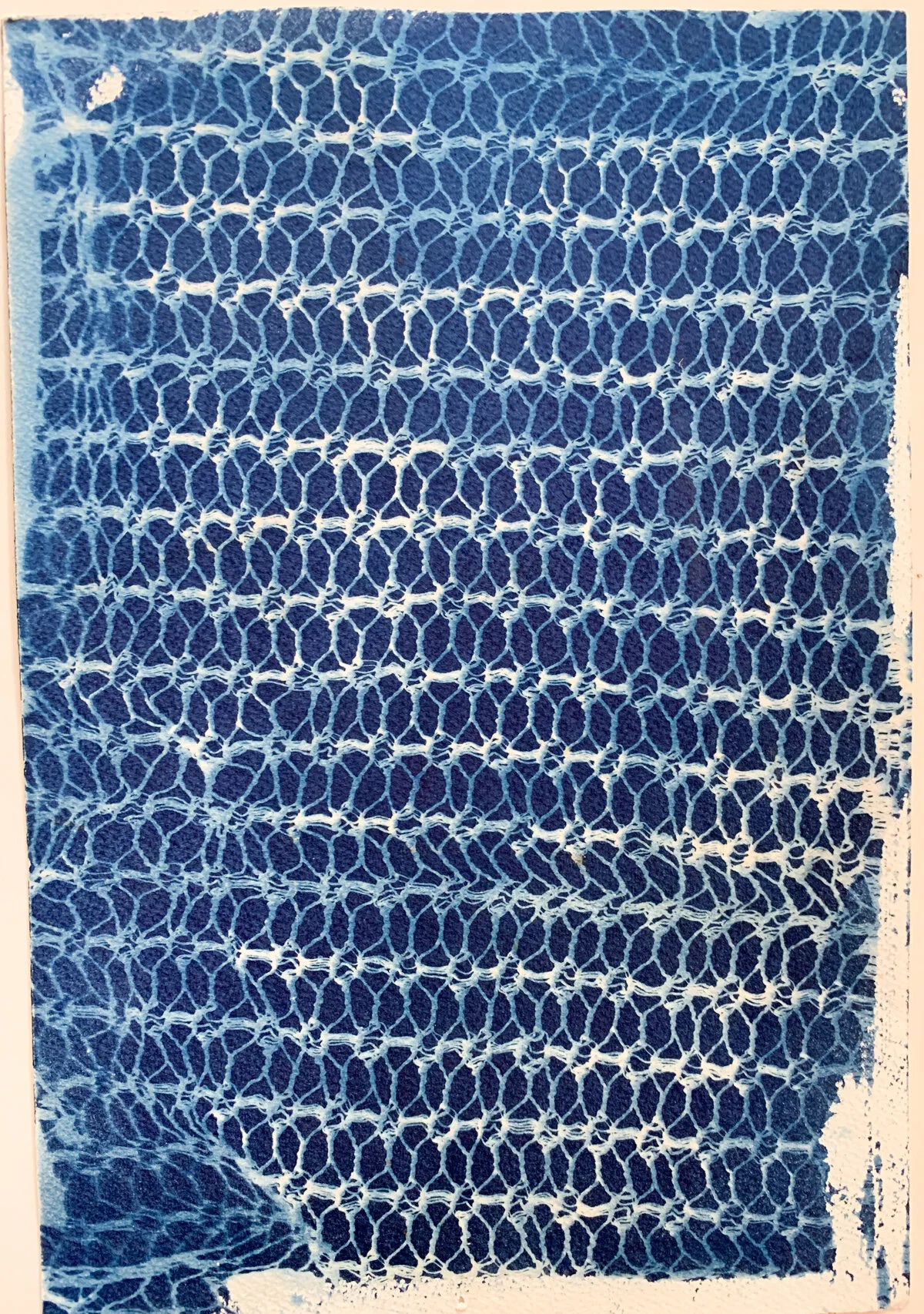 netted lace_cyan_8x12-1310.jpg