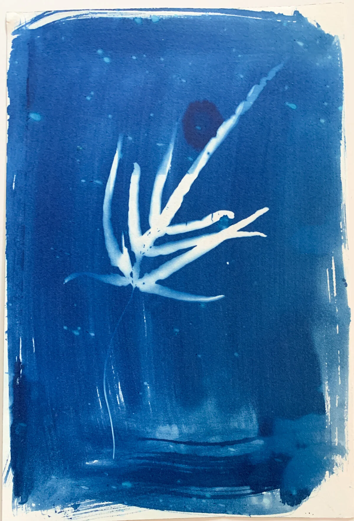 pteris fern_cyan_8x12-1314.jpg