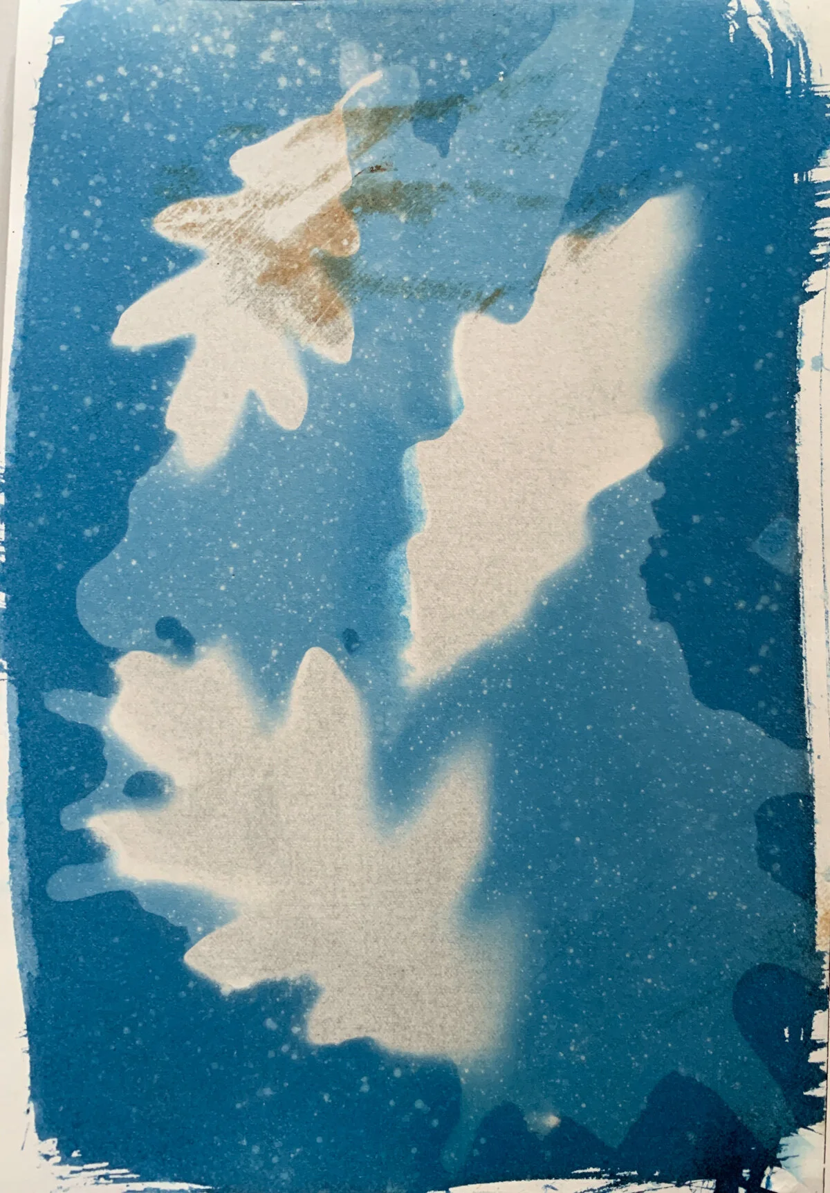 oaks 2_cyan_7x10-1318.jpg