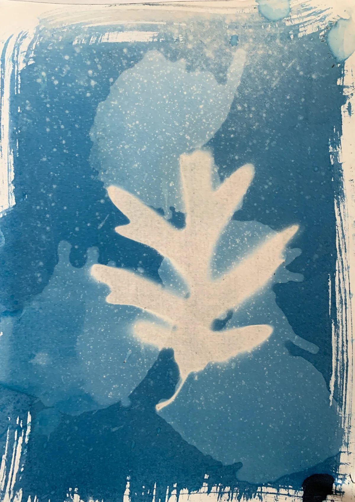 oak_cyan_7x10-1320.jpg