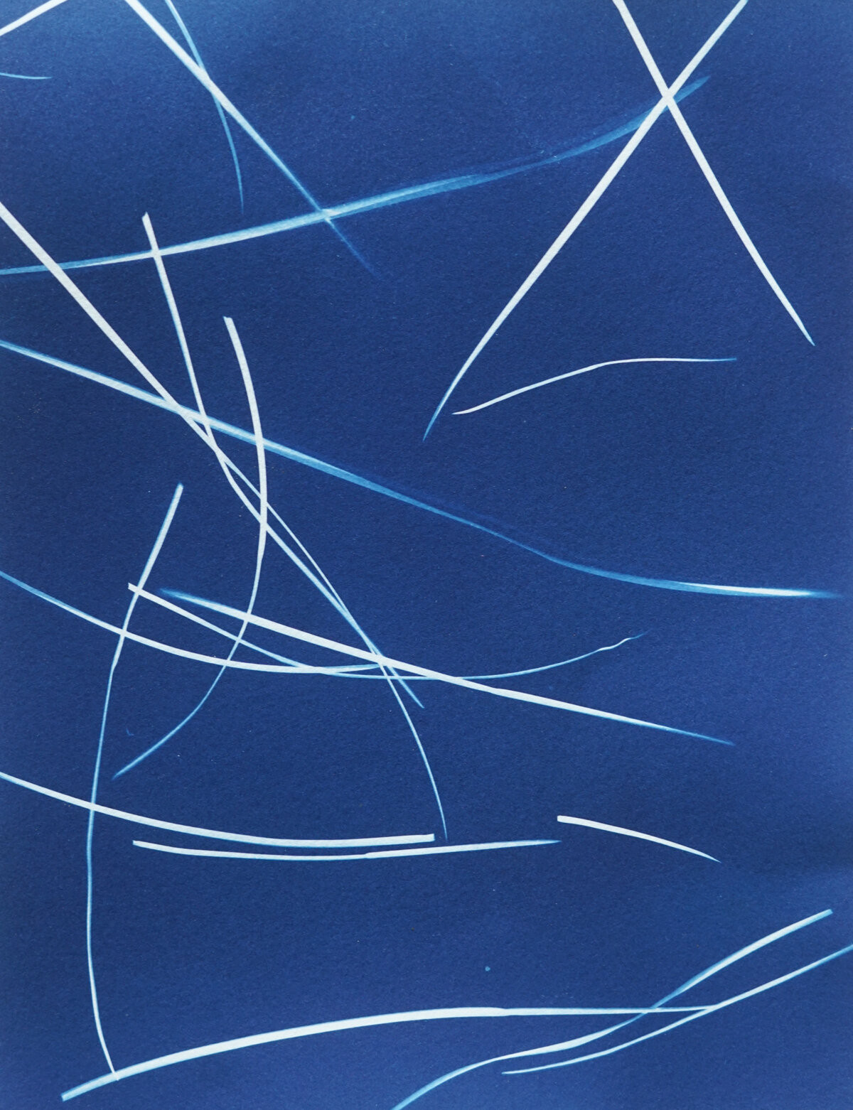 2021_spring_light drawings-08179.jpg