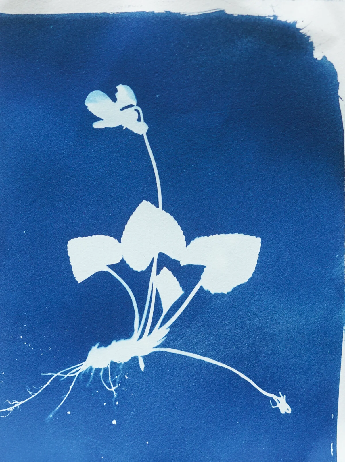 2021_spring_light drawings-08180.jpg