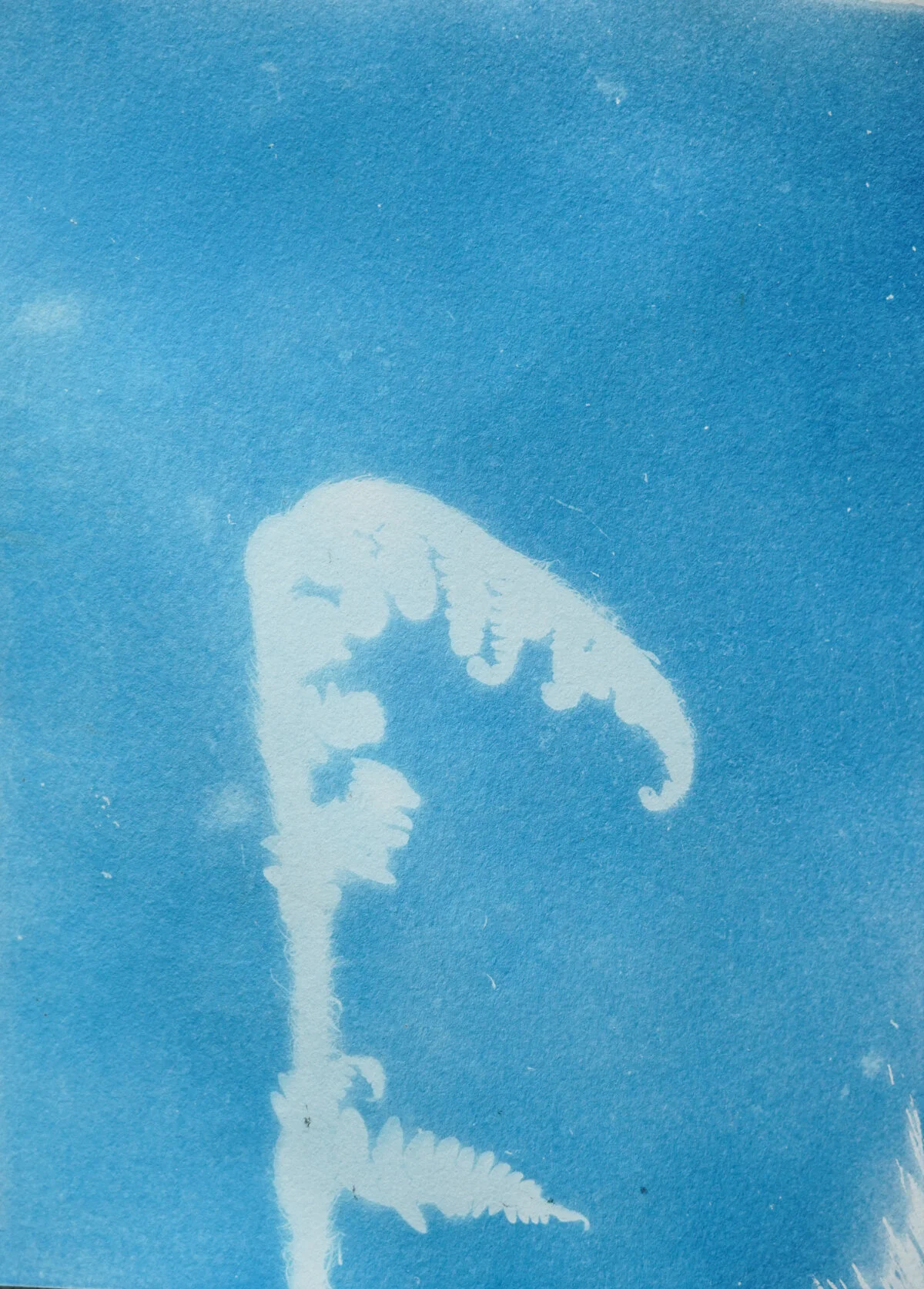 2021_spring_light drawings-08183.jpg