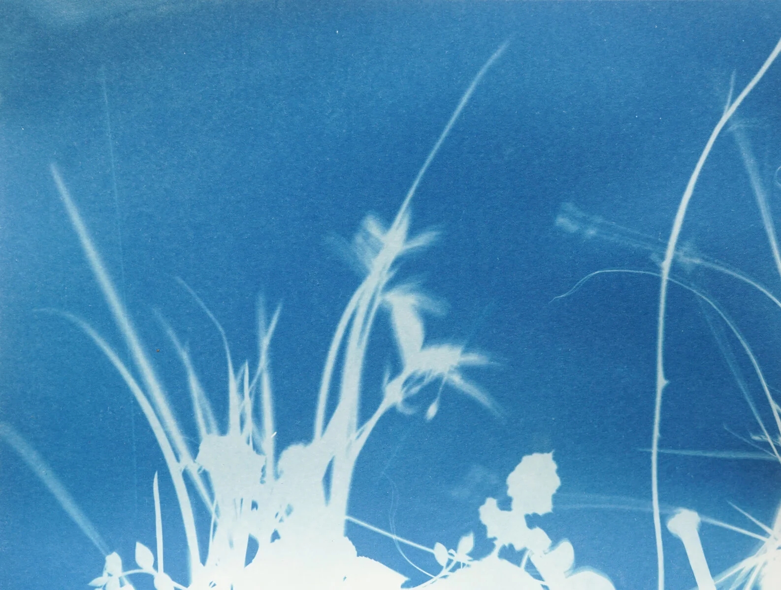 2021_spring_light drawings-08190.jpg