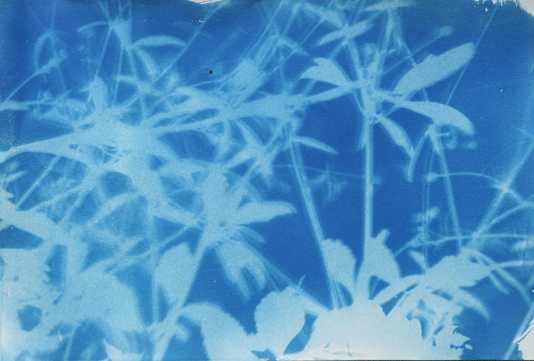 2021_spring_light drawings-08194.jpg