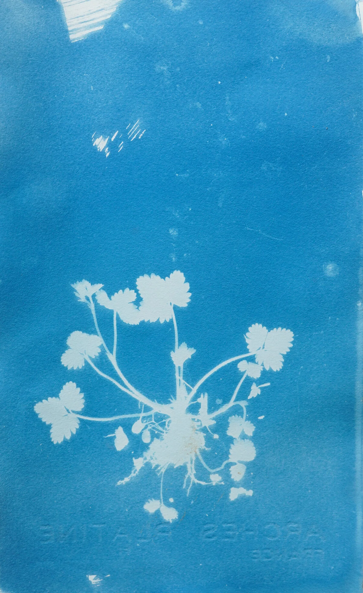 2021_spring_light drawings-08195.jpg
