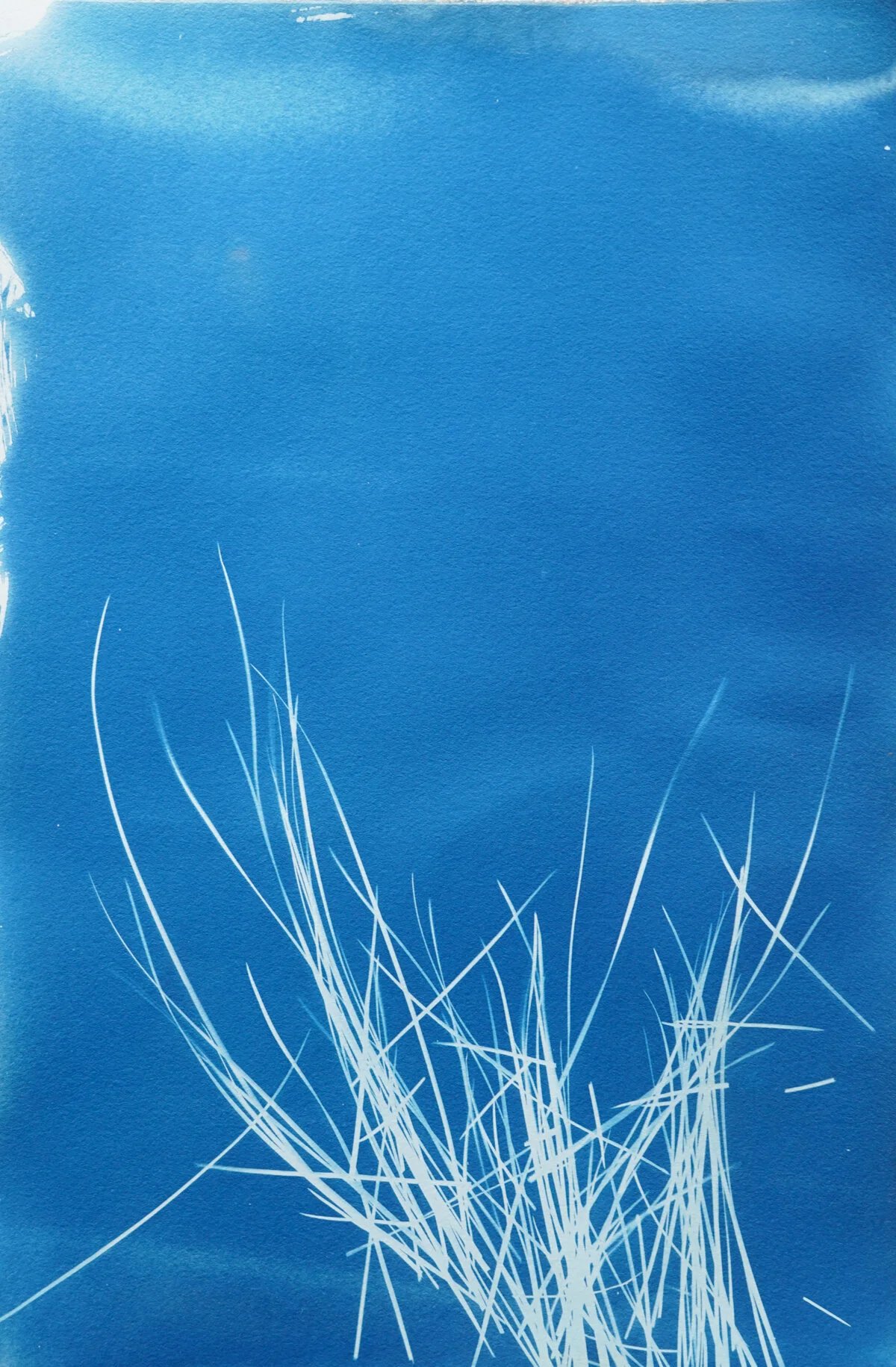 2021_spring_light drawings-08201.jpg