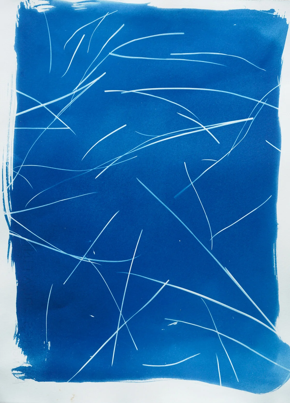 2021_spring_light drawings-08208.jpg
