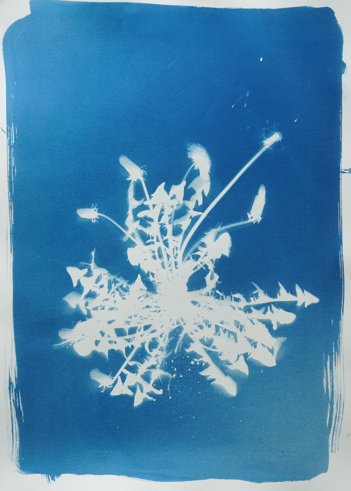 2021_spring_light drawings-08213.jpg