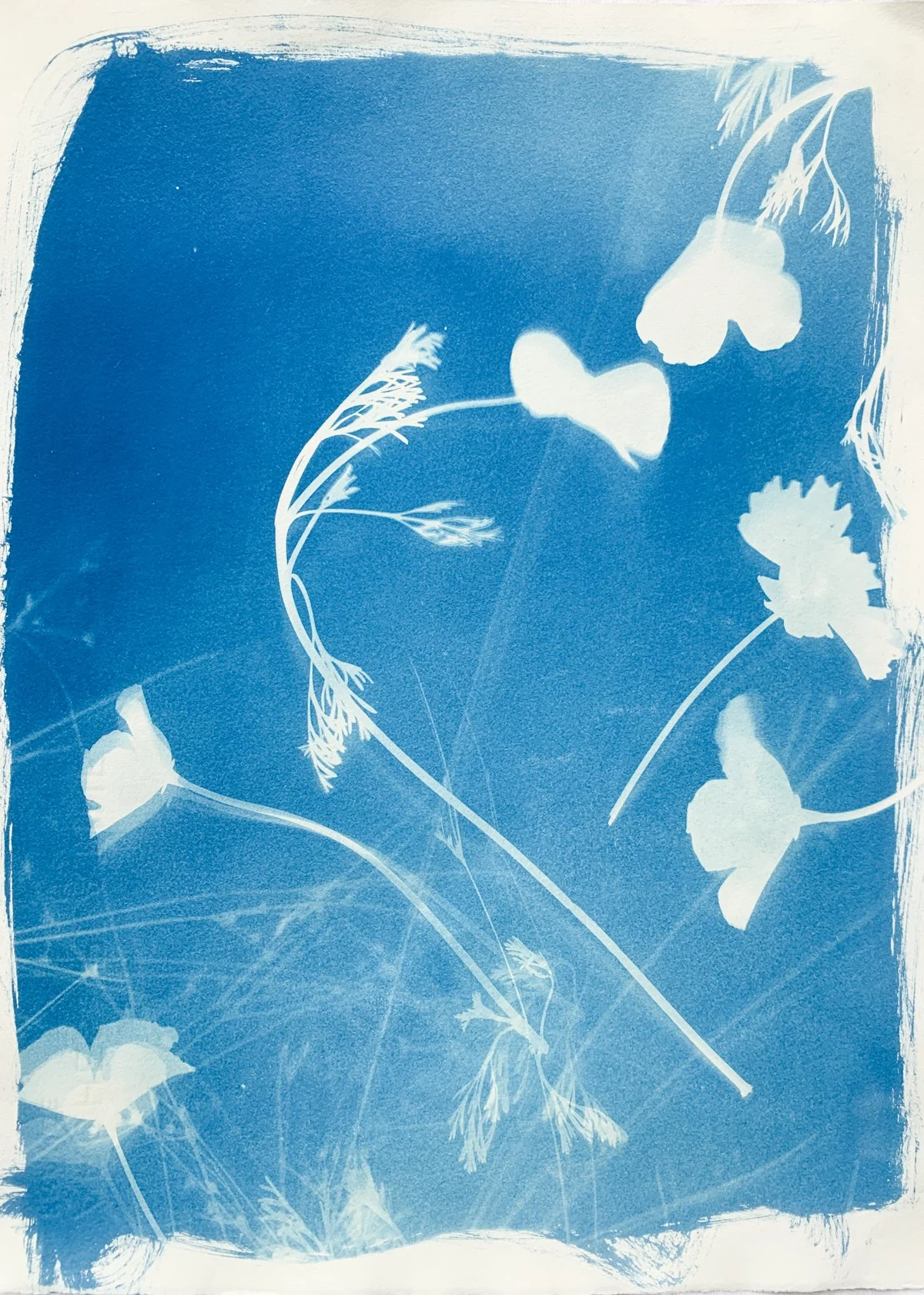 cyanotype_yard 2_11x15-4209.jpg