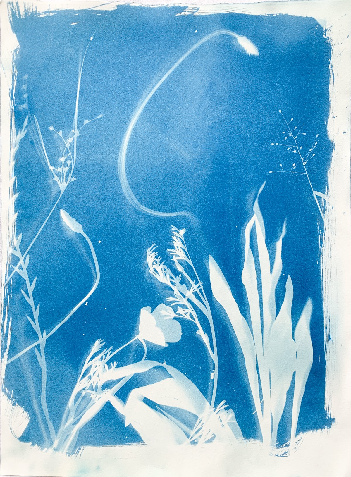 cyanotype_yard_11x15-4208.jpg