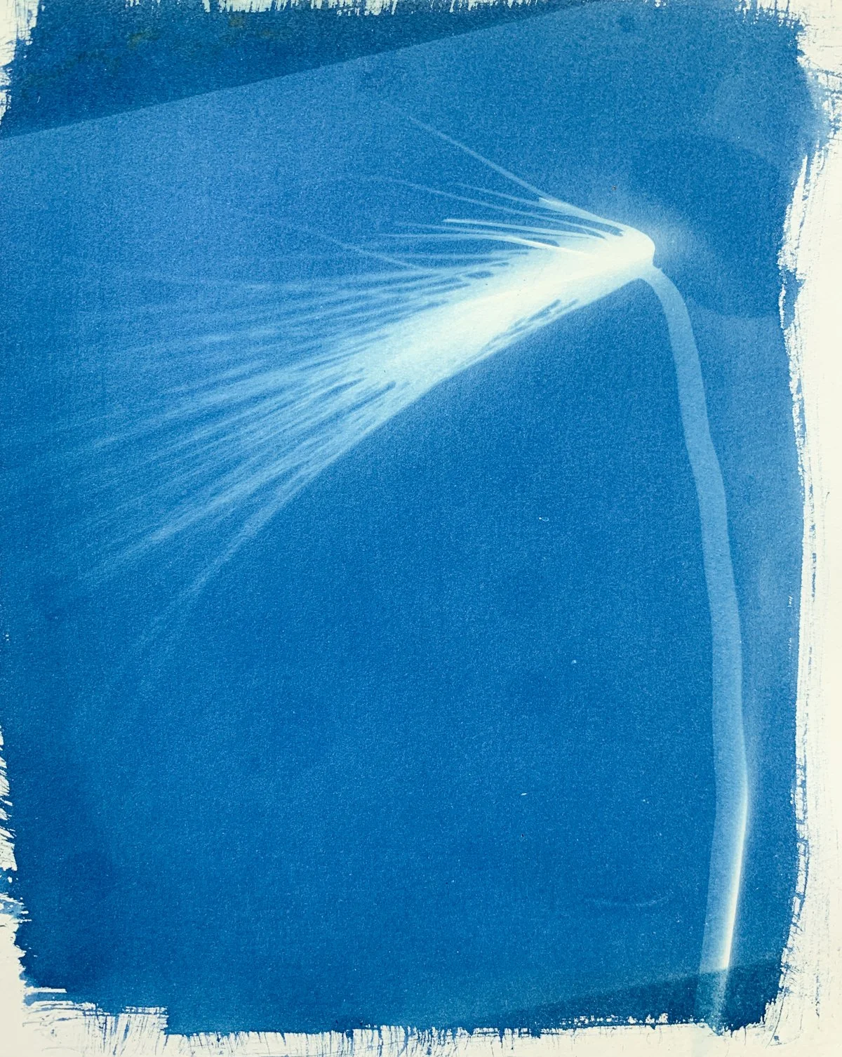 cyanotype_wheat_8x10-4195.jpg