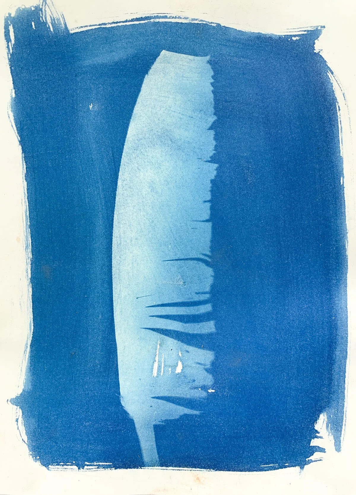 cyanotype_feather_9x12-4192.jpg
