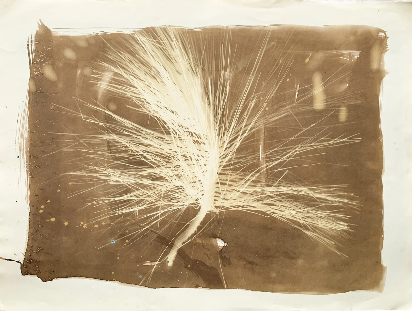 sepia_longleaf pine_22x30-4180-low res-2.jpg