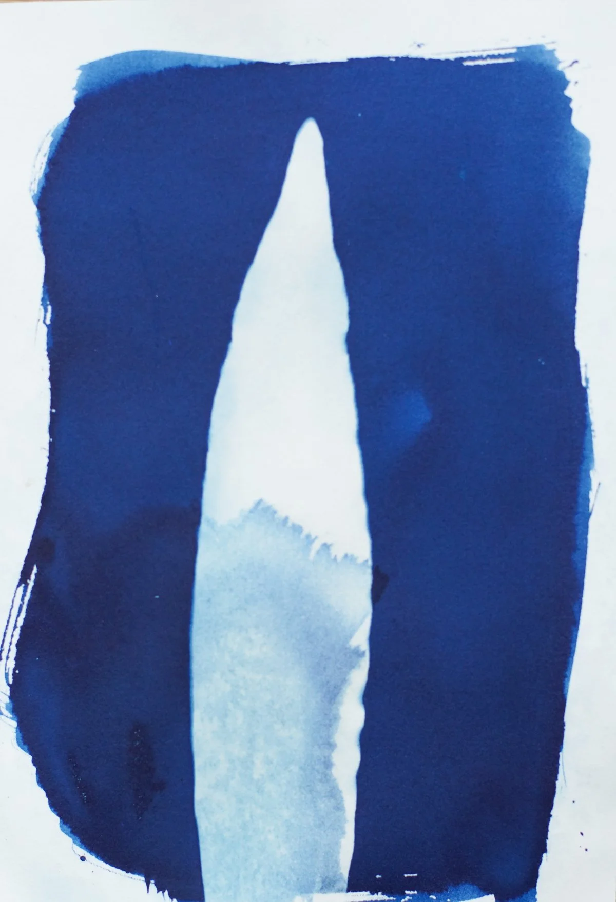 7x9_cyanotype_iris-09369.jpg