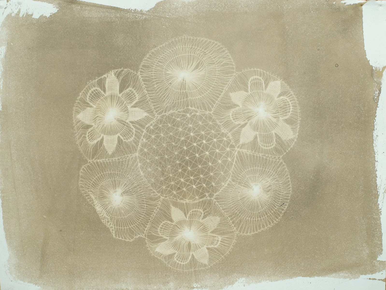 12x16_sepia_lace-09405.jpg