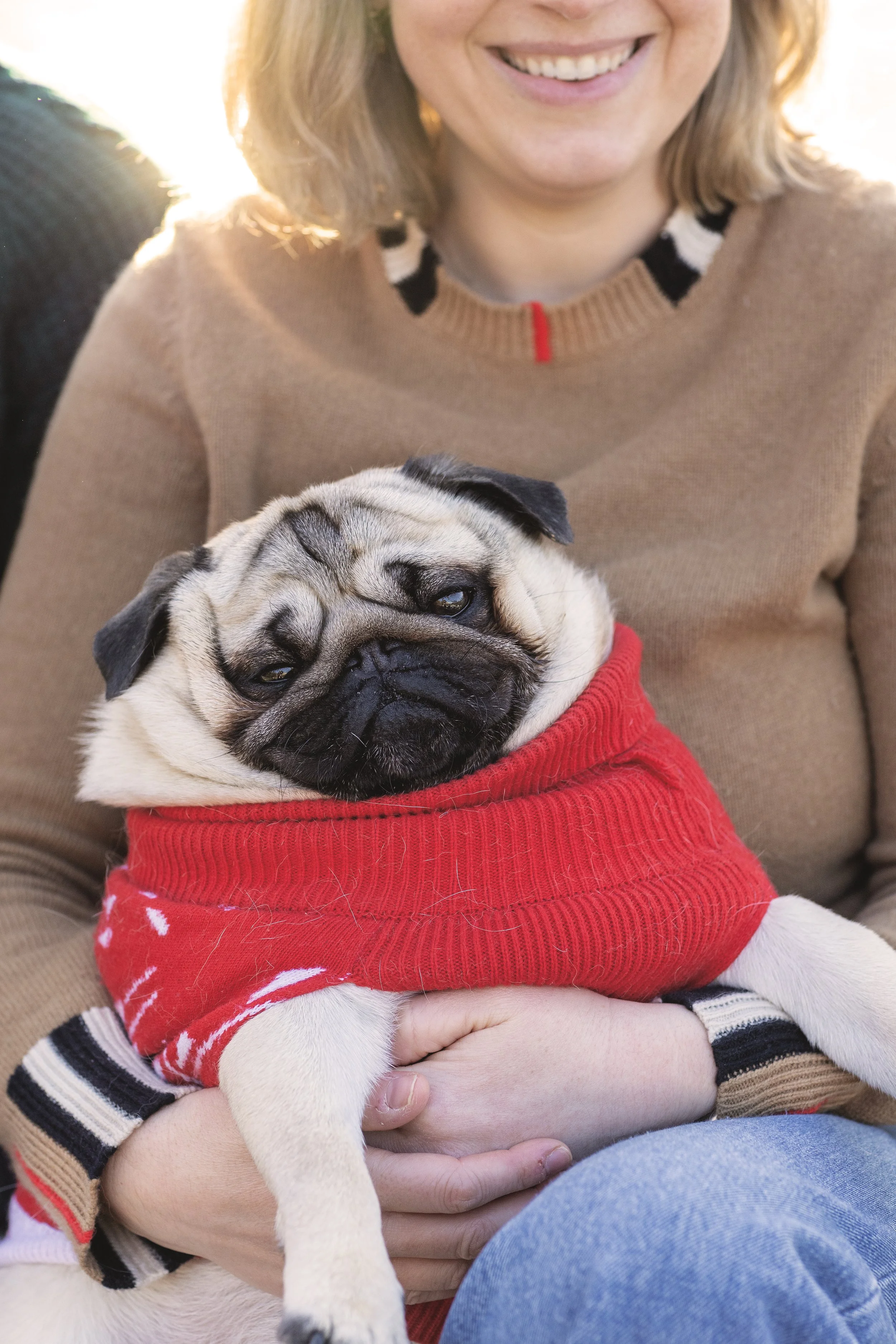A woman smiling while holding a sleepy pug dog wearing a red holiday sweater. Photographed by NYC family photographer Marisa S. Cohen.