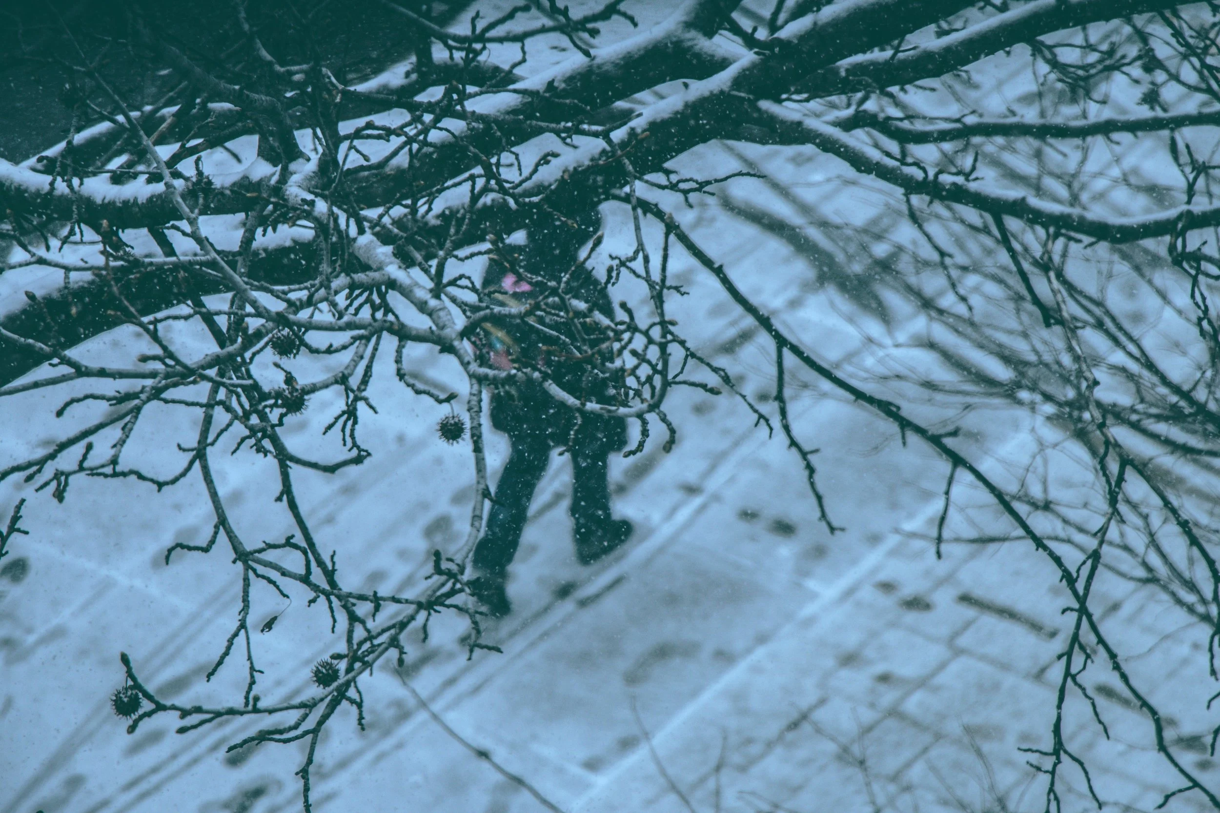 snow day.jpg