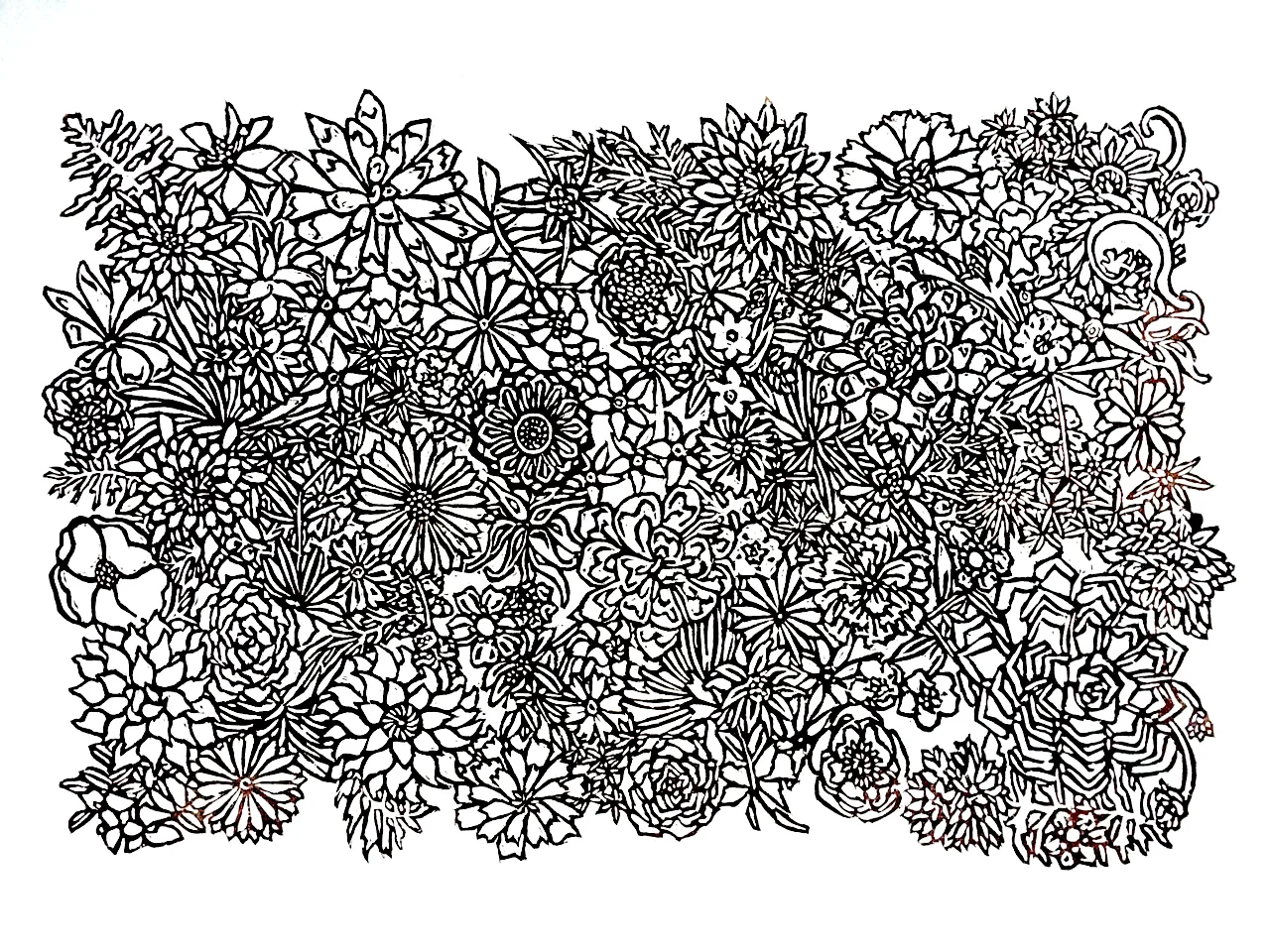 Desert Flora