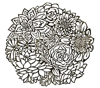 Succulents