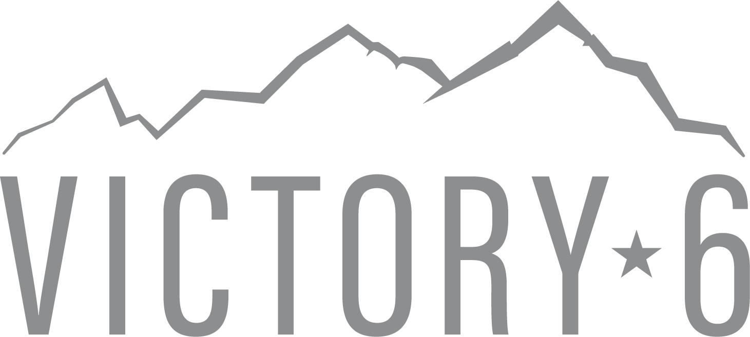 V6Logo_slvr.png