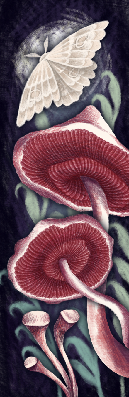 Screenshot 2025-11-26 at 3.07.26 PM.png