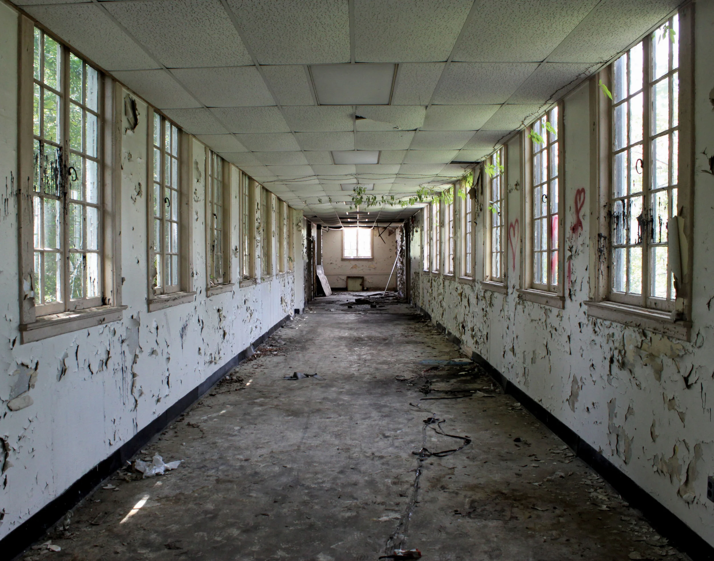 Disillusionment, 2013
