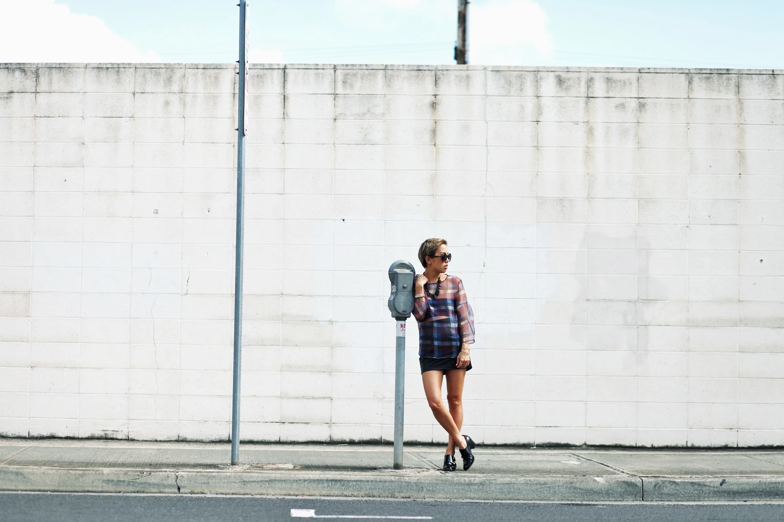 plaidzara1.jpg