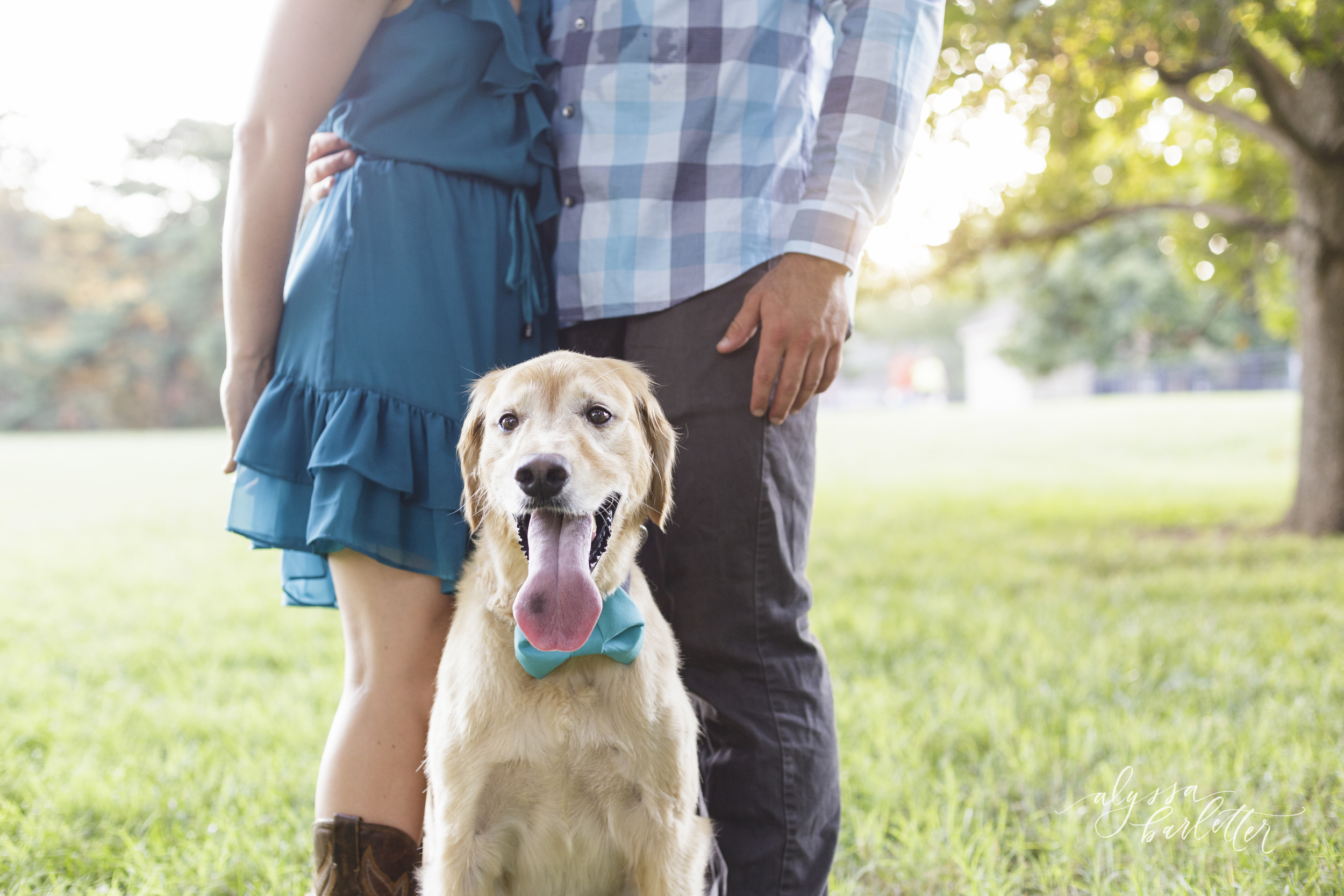engagement photography kansas city loose park dog trees