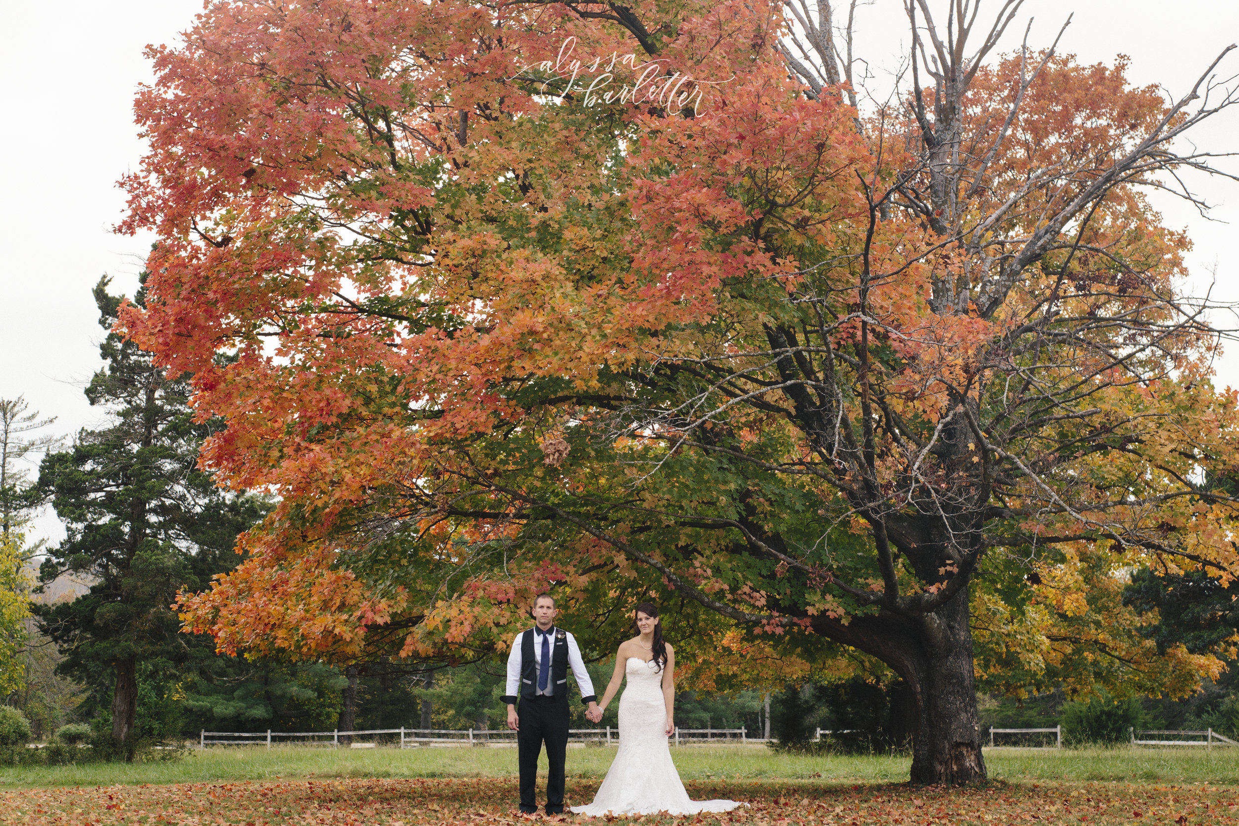 kansas city missouri wedding photographer longview mansion bride groom