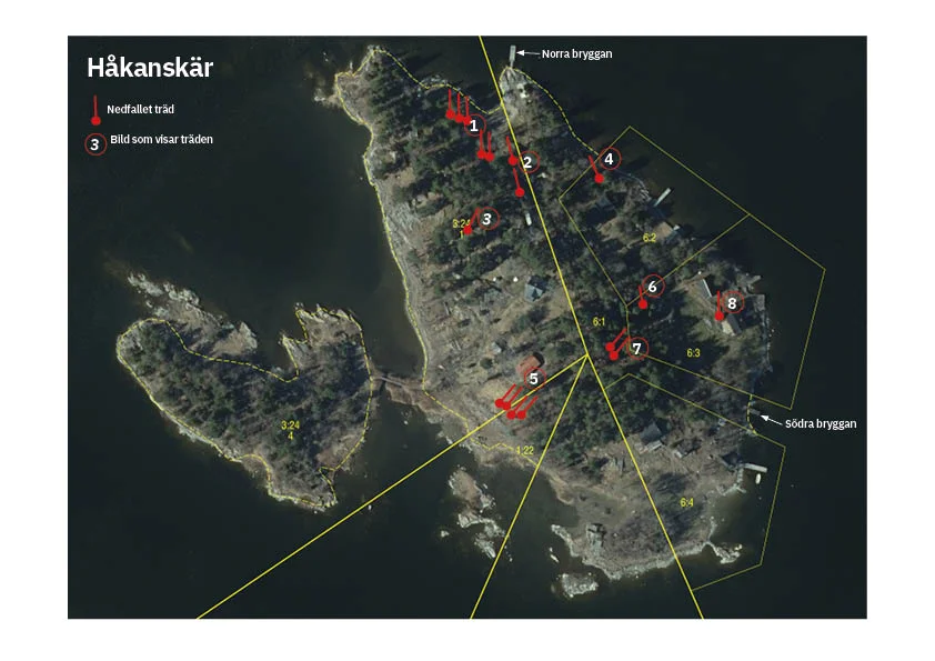 Kartskiss med träden utmärkta.jpg