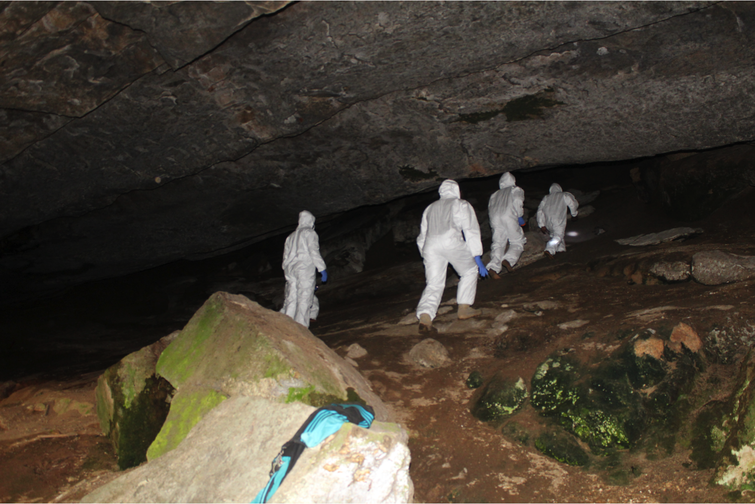 The team makes their way up the cave to take a peak inside