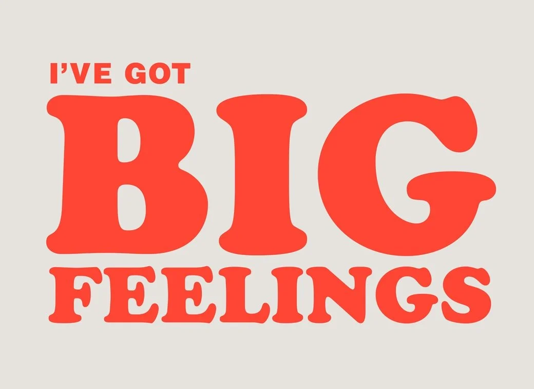 JillAndrews_BigFeelings_Hoodie_5 copy 3.jpg