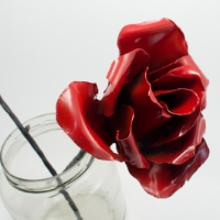Roses-12.jpg
