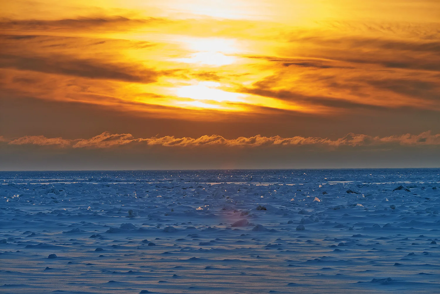 DSC_3580.jpg