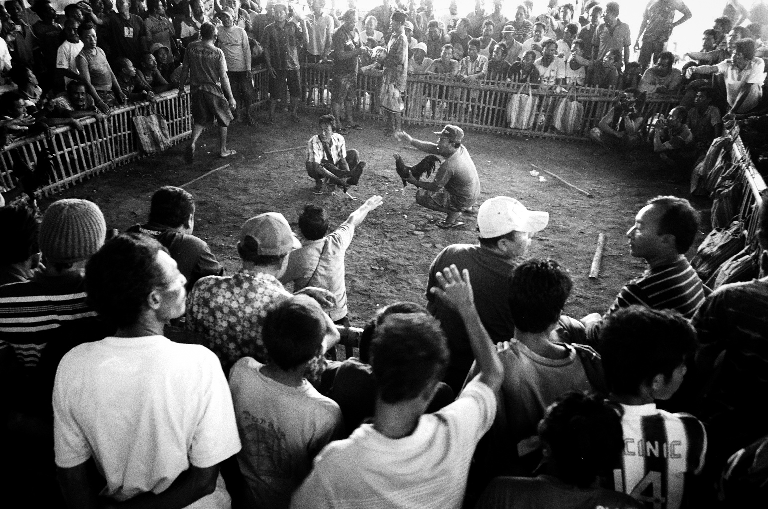  Amed, Bali, Indonesia. 2012.  Once the birds are ready to fight, they are placed face to face by their handlers. The spectators then begin chanting and placing bets on their favorite fighter. 
