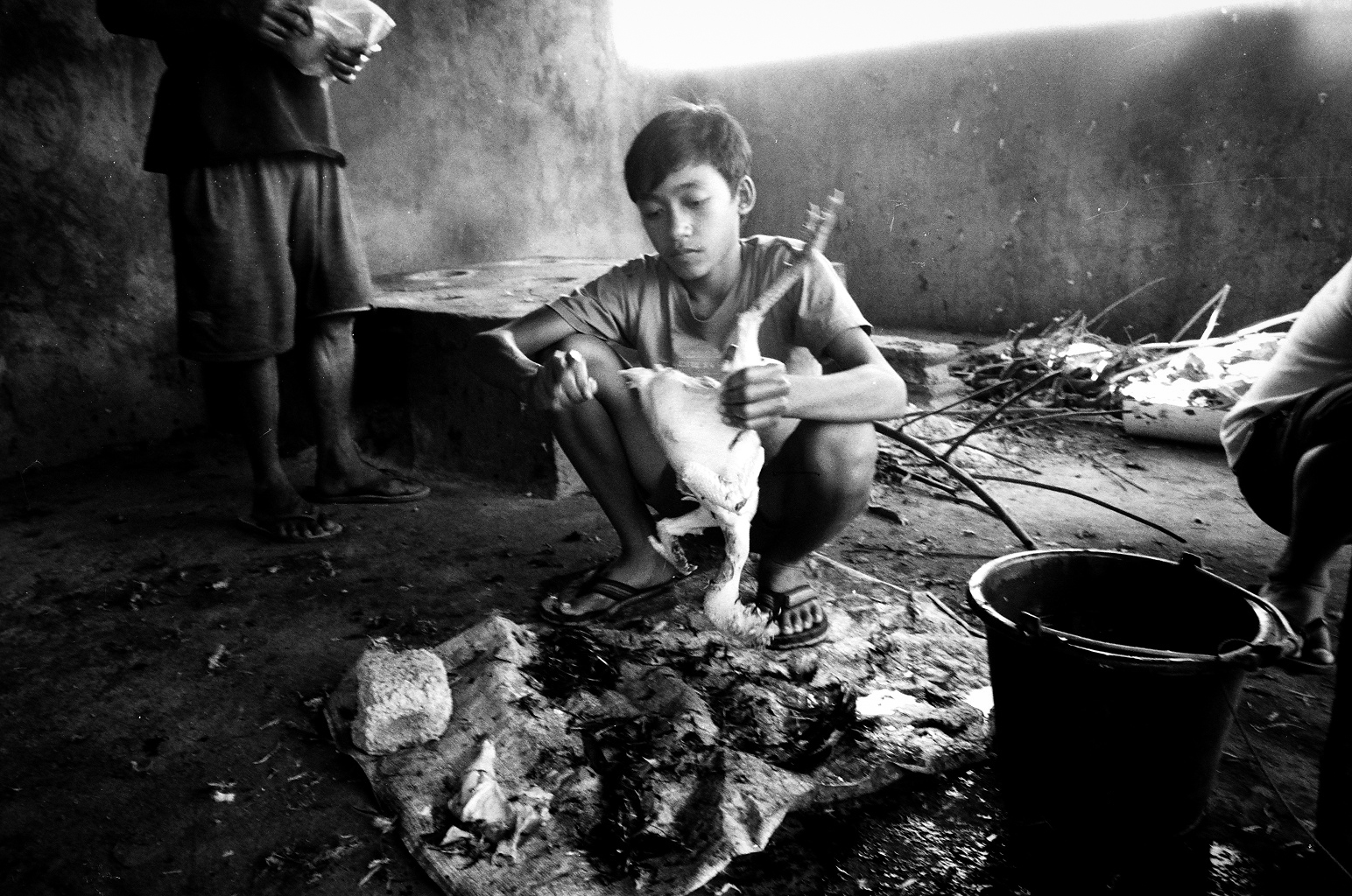 Amed, Bali, Indonesia. 2012. After every fight the wounded birds are killed, plucked and then distributed for meat.