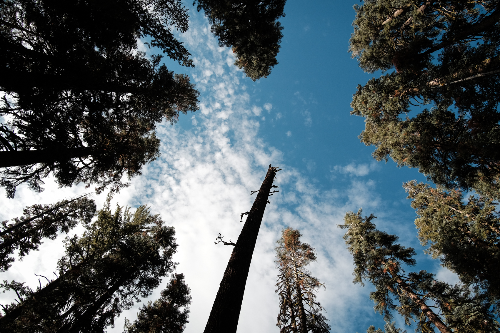  Yosemite National Park, California. August 2015. 