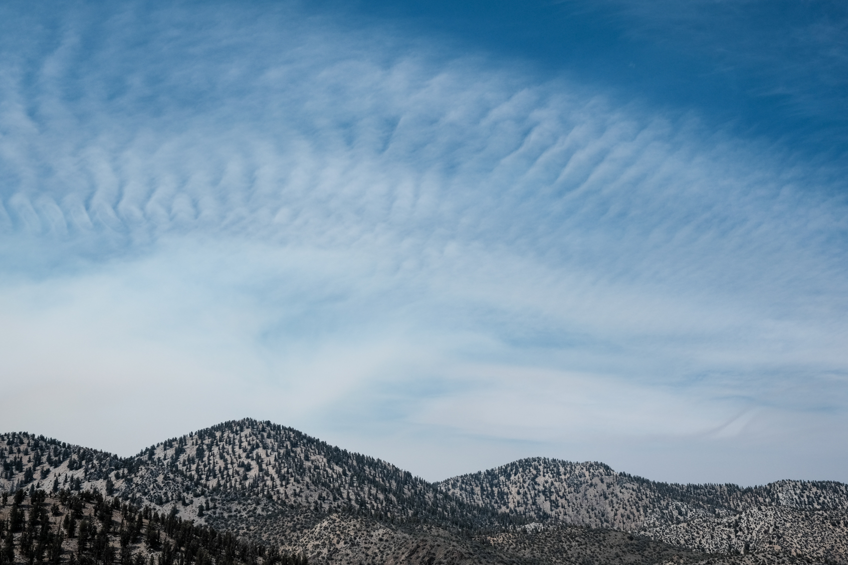  Bristlecone Pines. Inyo National Forest, California. August 2015.&nbsp; 