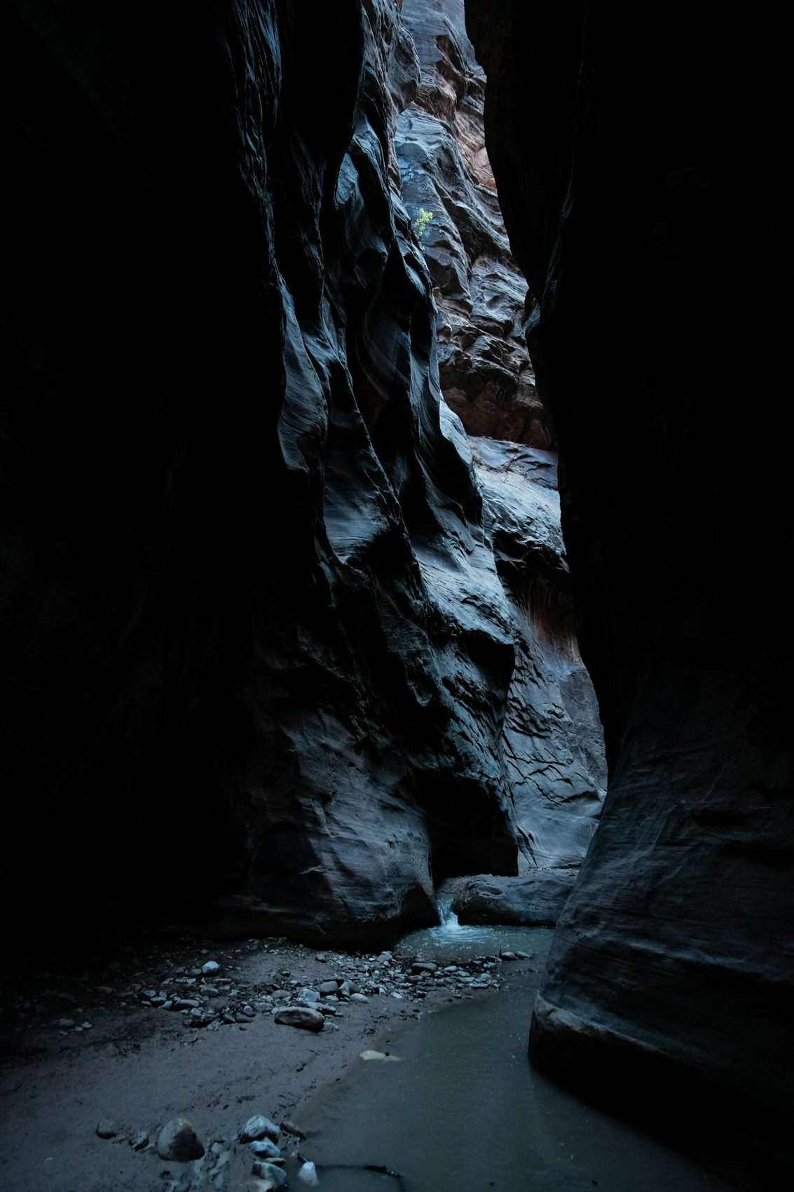  The Narrows, Zion National Park, Utah. September 2015. 