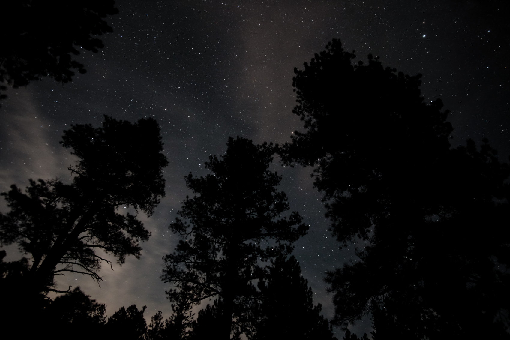  Kaibab National Forest, Arizona. September 2015. 