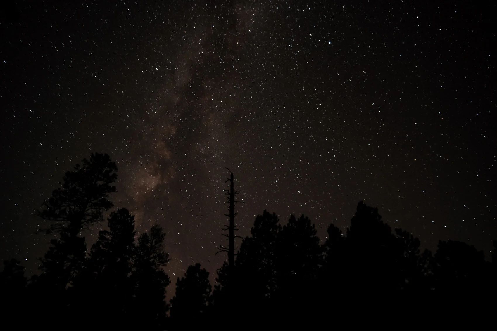 Kaibab National Forest, Arizona. September 2015.