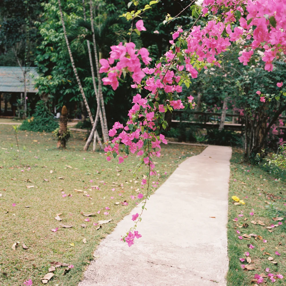 Mae Hong Son, Thailand. 2016.