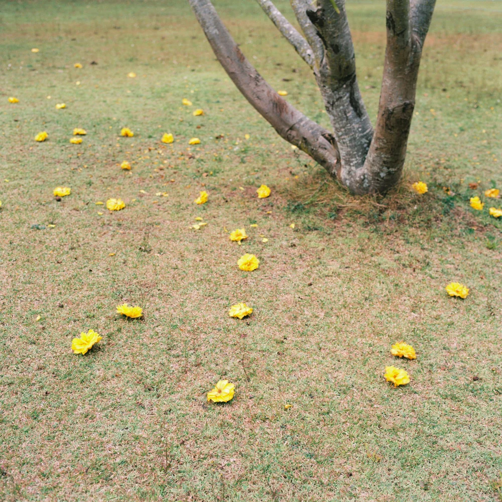 Mae Hong Son, Thailand. 2016.