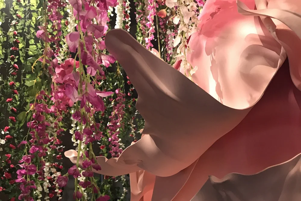 eroticabloom.jpg