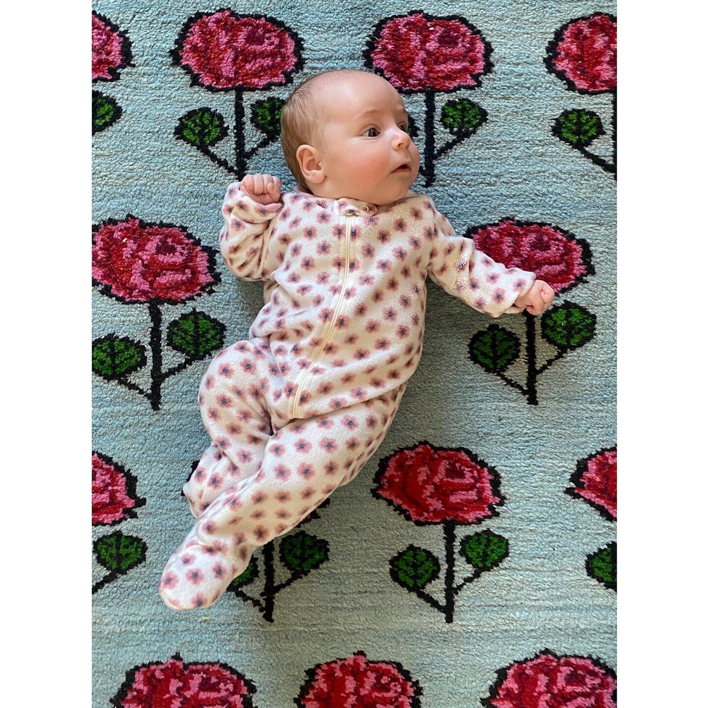 Ruby, coming up roses on Valentine&rsquo;s Day
🌹💘