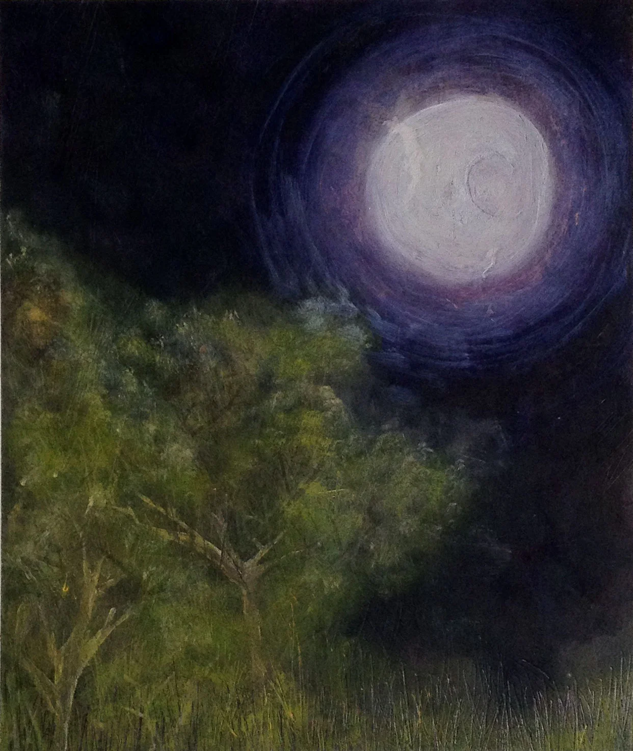 Moonlight