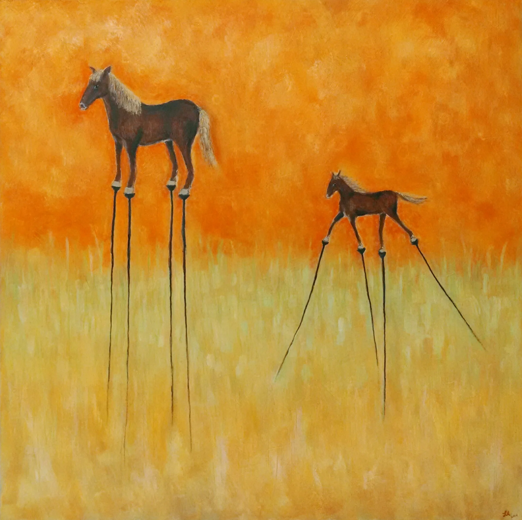 Horses