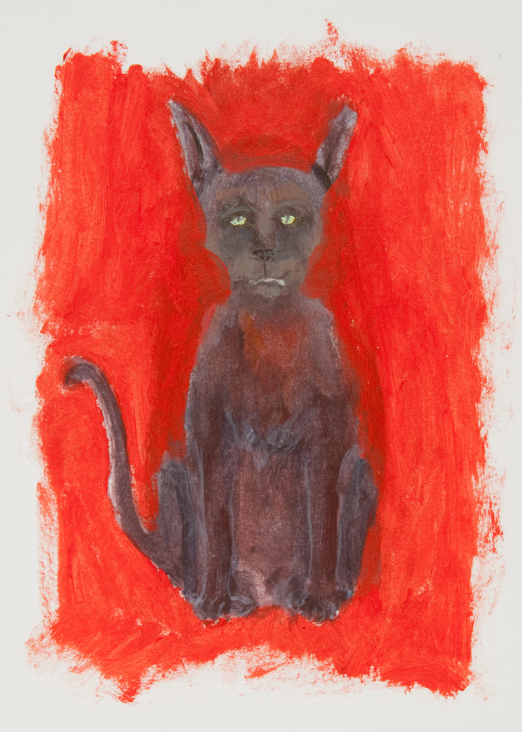 Jankey Cat